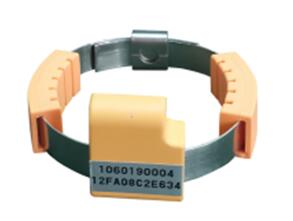 6484157a3a2dc.jpg QQ截圖20230610141607.jpg